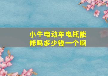 小牛电动车电瓶能修吗多少钱一个啊