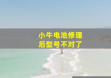 小牛电池修理后型号不对了