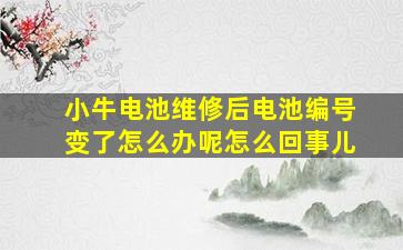 小牛电池维修后电池编号变了怎么办呢怎么回事儿