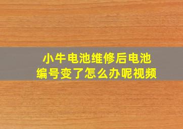 小牛电池维修后电池编号变了怎么办呢视频