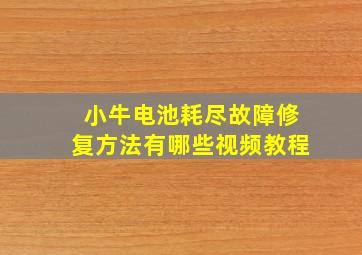 小牛电池耗尽故障修复方法有哪些视频教程