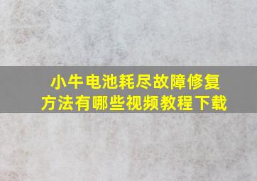 小牛电池耗尽故障修复方法有哪些视频教程下载