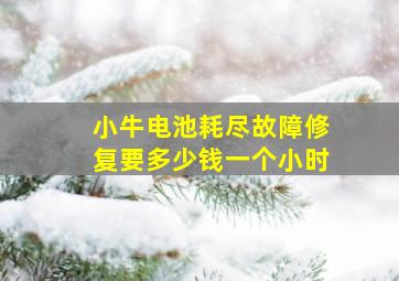 小牛电池耗尽故障修复要多少钱一个小时