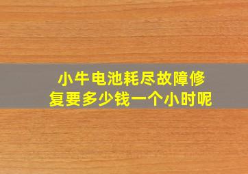 小牛电池耗尽故障修复要多少钱一个小时呢