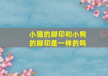 小猫的脚印和小狗的脚印是一样的吗