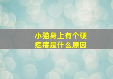 小猫身上有个硬疙瘩是什么原因