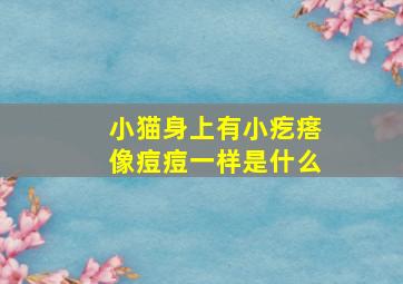 小猫身上有小疙瘩像痘痘一样是什么