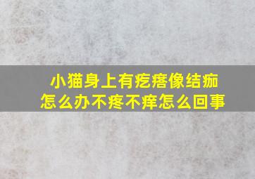 小猫身上有疙瘩像结痂怎么办不疼不痒怎么回事