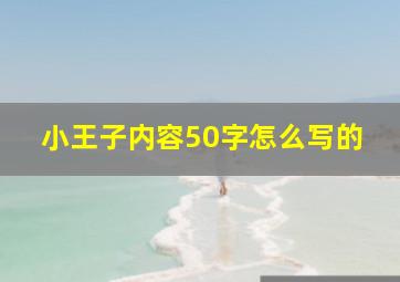 小王子内容50字怎么写的