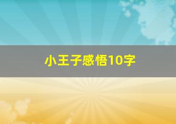 小王子感悟10字