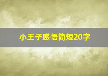 小王子感悟简短20字