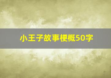 小王子故事梗概50字