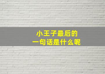 小王子最后的一句话是什么呢