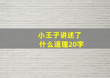 小王子讲述了什么道理20字