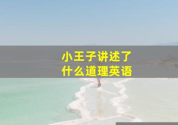 小王子讲述了什么道理英语