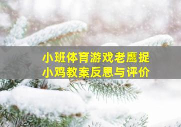 小班体育游戏老鹰捉小鸡教案反思与评价