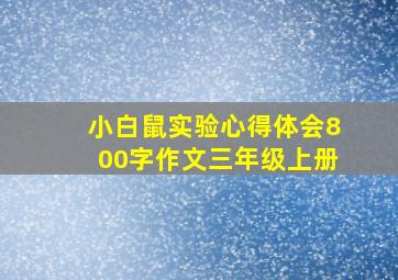 小白鼠实验心得体会800字作文三年级上册