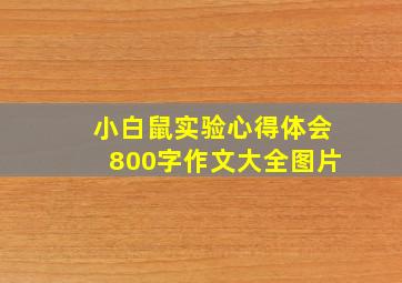 小白鼠实验心得体会800字作文大全图片