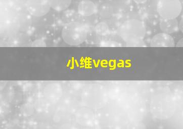 小维vegas