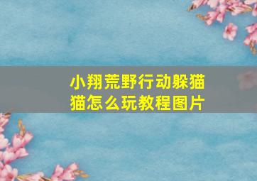 小翔荒野行动躲猫猫怎么玩教程图片