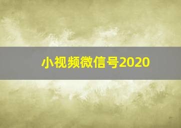 小视频微信号2020