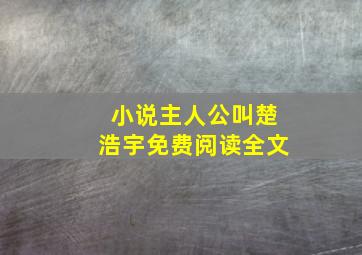 小说主人公叫楚浩宇免费阅读全文