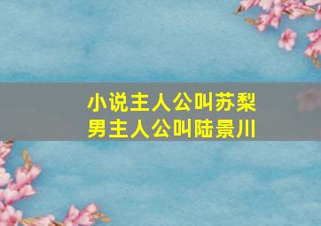 小说主人公叫苏梨男主人公叫陆景川