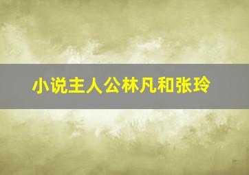 小说主人公林凡和张玲