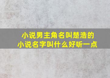 小说男主角名叫楚浩的小说名字叫什么好听一点