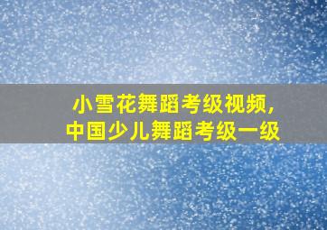 小雪花舞蹈考级视频,中国少儿舞蹈考级一级