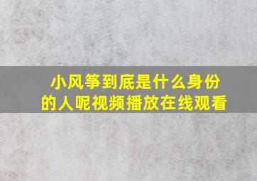 小风筝到底是什么身份的人呢视频播放在线观看