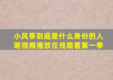 小风筝到底是什么身份的人呢视频播放在线观看第一季