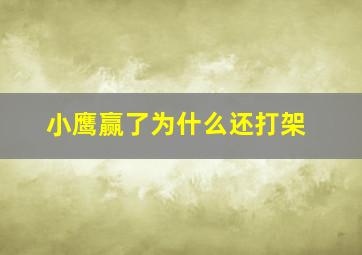 小鹰赢了为什么还打架