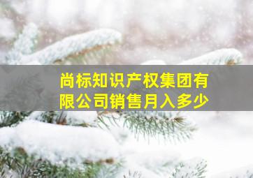 尚标知识产权集团有限公司销售月入多少