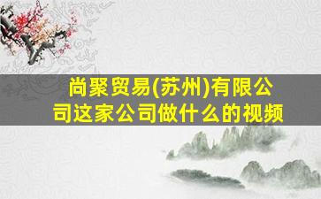 尚聚贸易(苏州)有限公司这家公司做什么的视频