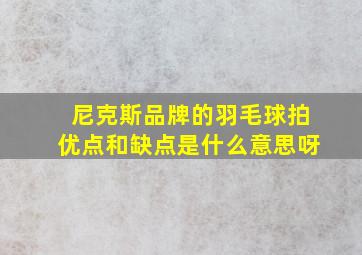 尼克斯品牌的羽毛球拍优点和缺点是什么意思呀