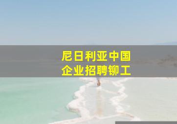 尼日利亚中国企业招聘铆工