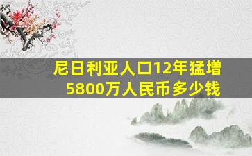 尼日利亚人口12年猛增5800万人民币多少钱