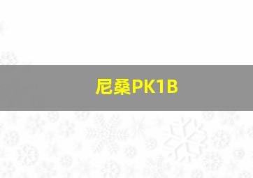 尼桑PK1B