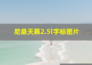 尼桑天籁2.5l字标图片