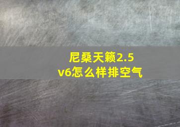 尼桑天籁2.5v6怎么样排空气