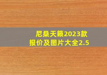 尼桑天籁2023款报价及图片大全2.5