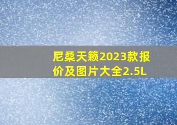 尼桑天籁2023款报价及图片大全2.5L