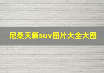 尼桑天籁suv图片大全大图