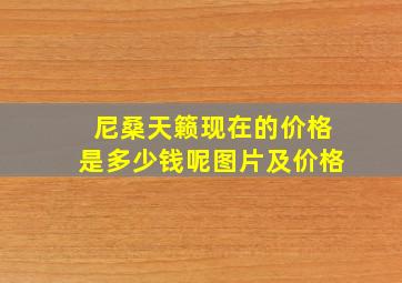 尼桑天籁现在的价格是多少钱呢图片及价格