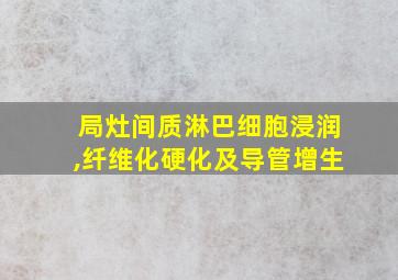 局灶间质淋巴细胞浸润,纤维化硬化及导管增生