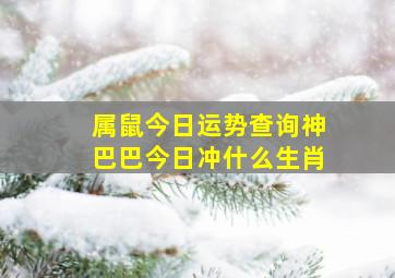 属鼠今日运势查询神巴巴今日冲什么生肖