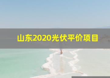 山东2020光伏平价项目