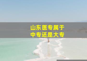 山东医专属于中专还是大专