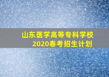 山东医学高等专科学校2020春考招生计划